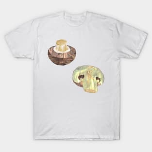 Mushrooms seperate T-Shirt